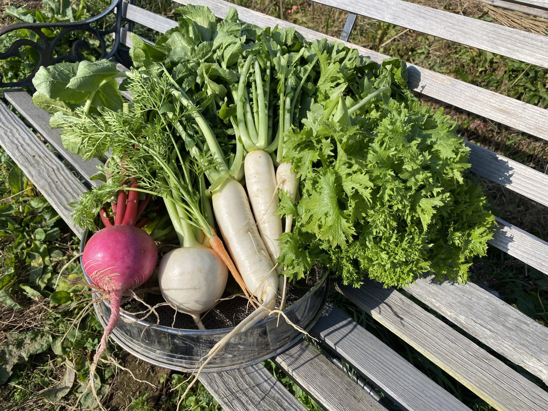 土づくり 野菜を作る上での重要ポイント 楽しい貸し農園ライフブログ